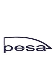 Logo Pesa an ige+xao customer