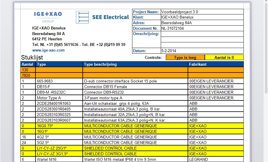SEE Electrical report screenshot